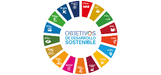 29a6623f-621f-4798-8670-385ff9e79418